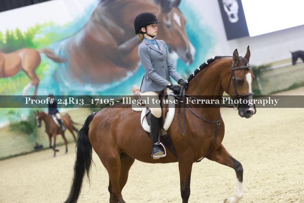 Proof 24R13_17105