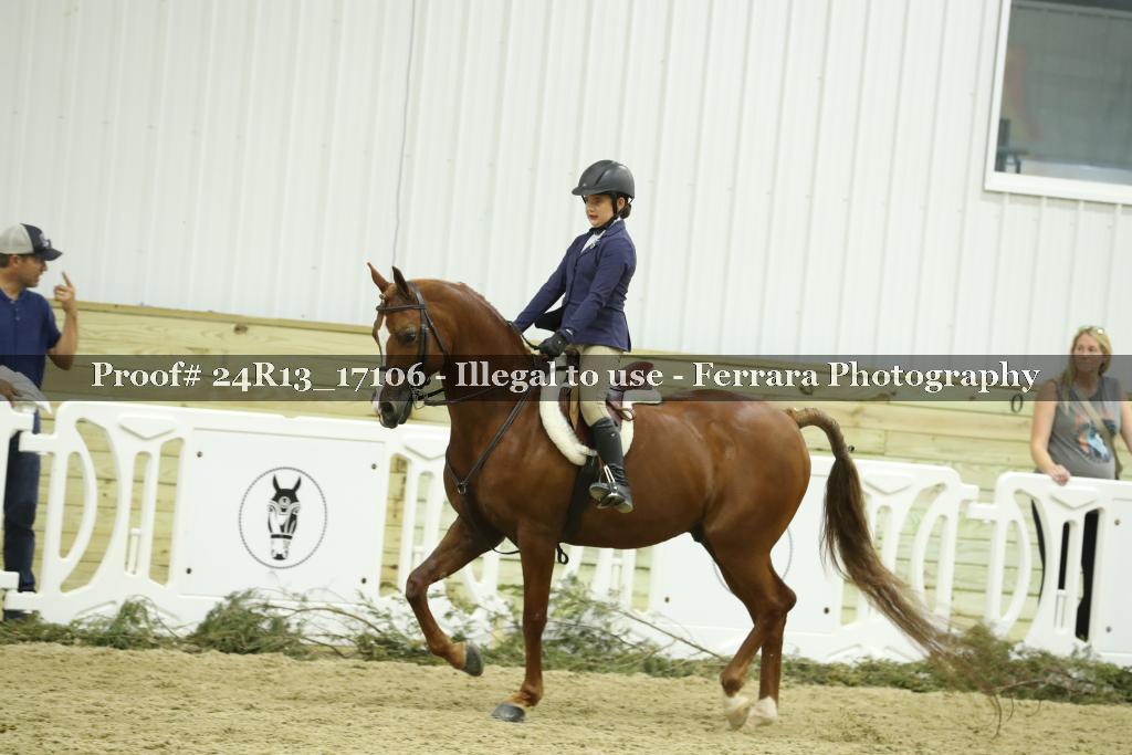 Proof 24R13_17106