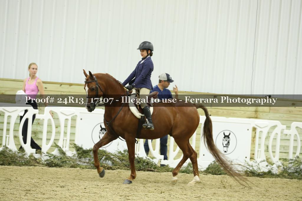 Proof 24R13_17107
