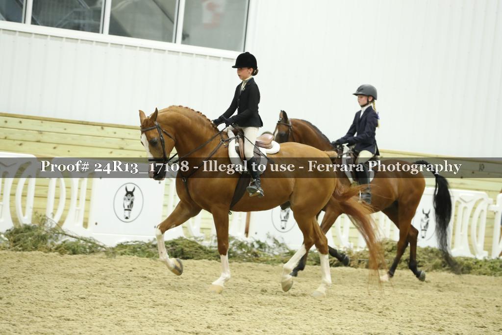 Proof 24R13_17108