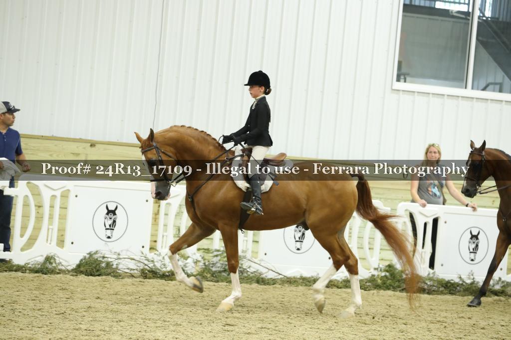 Proof 24R13_17109
