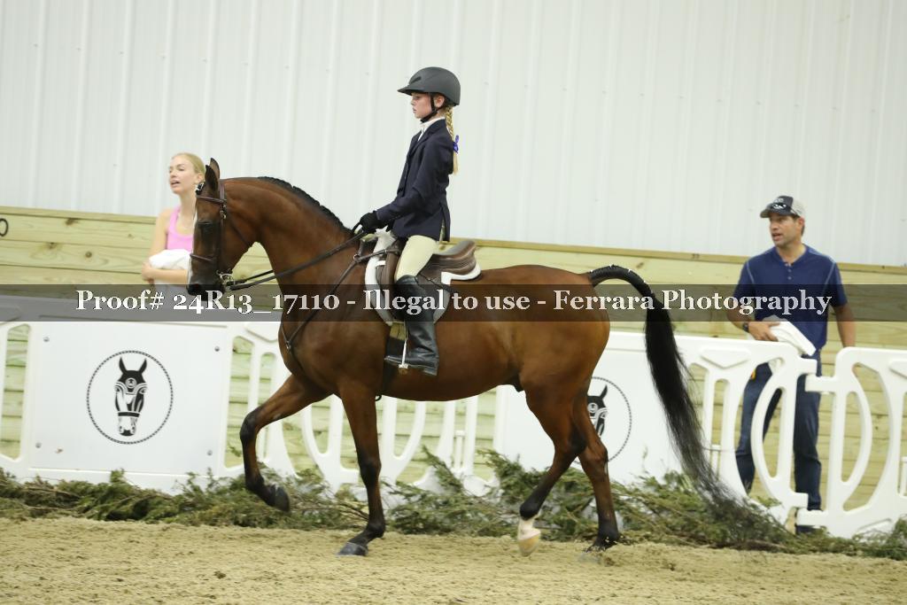 Proof 24R13_17110