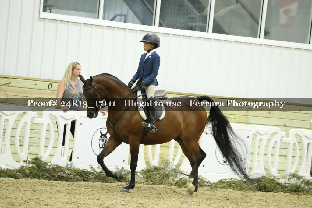 Proof 24R13_17111