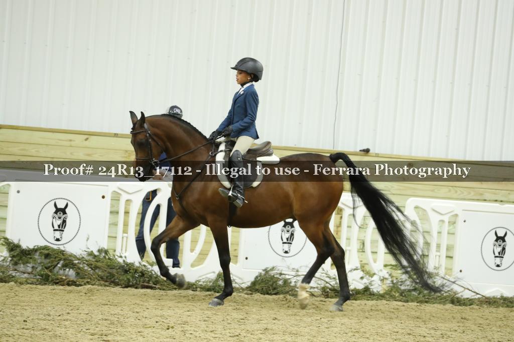 Proof 24R13_17112