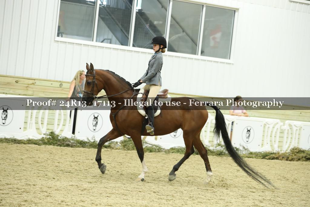 Proof 24R13_17113