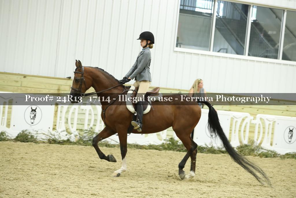 Proof 24R13_17114
