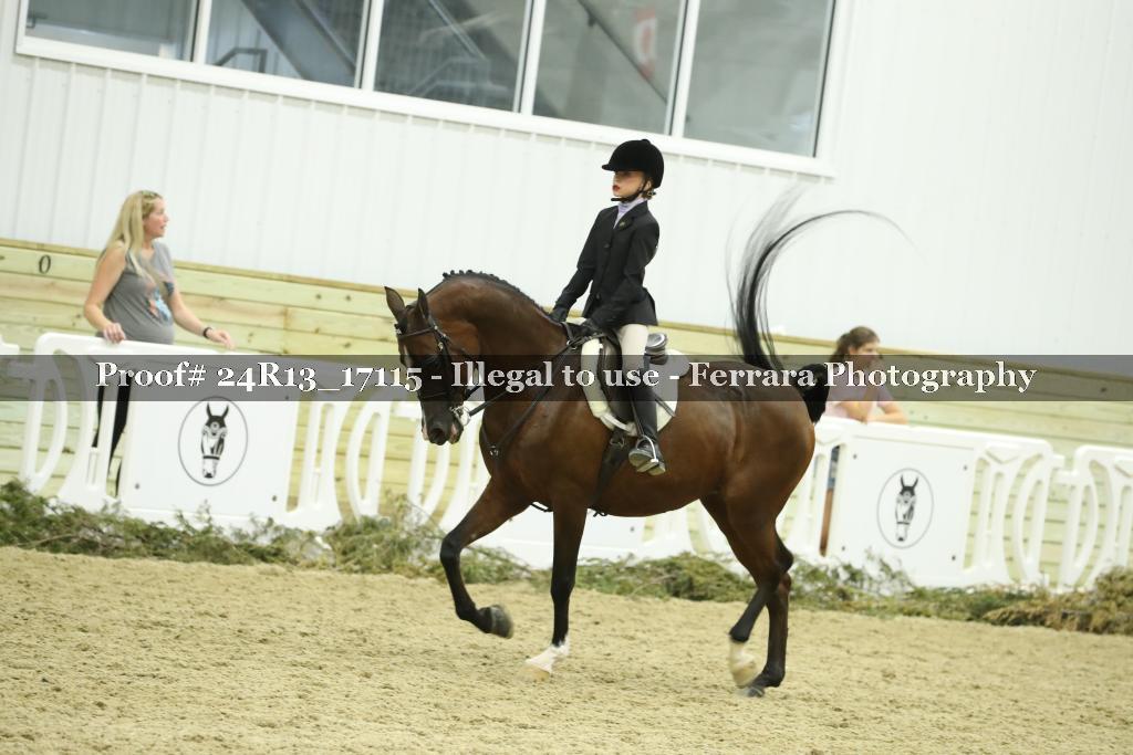 Proof 24R13_17115