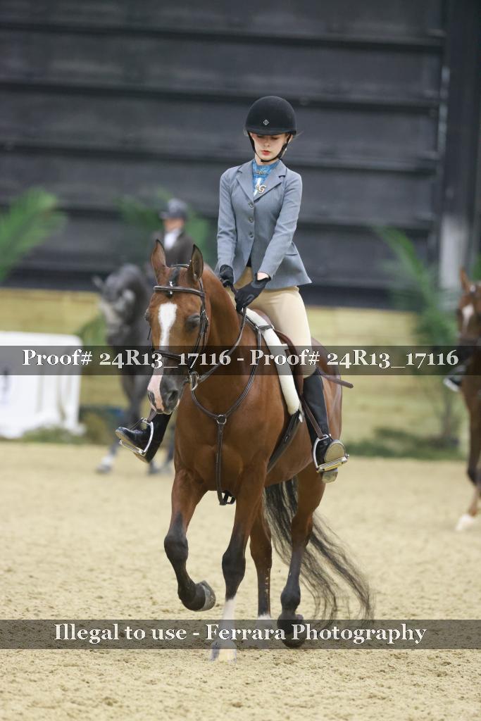 Proof 24R13_17116