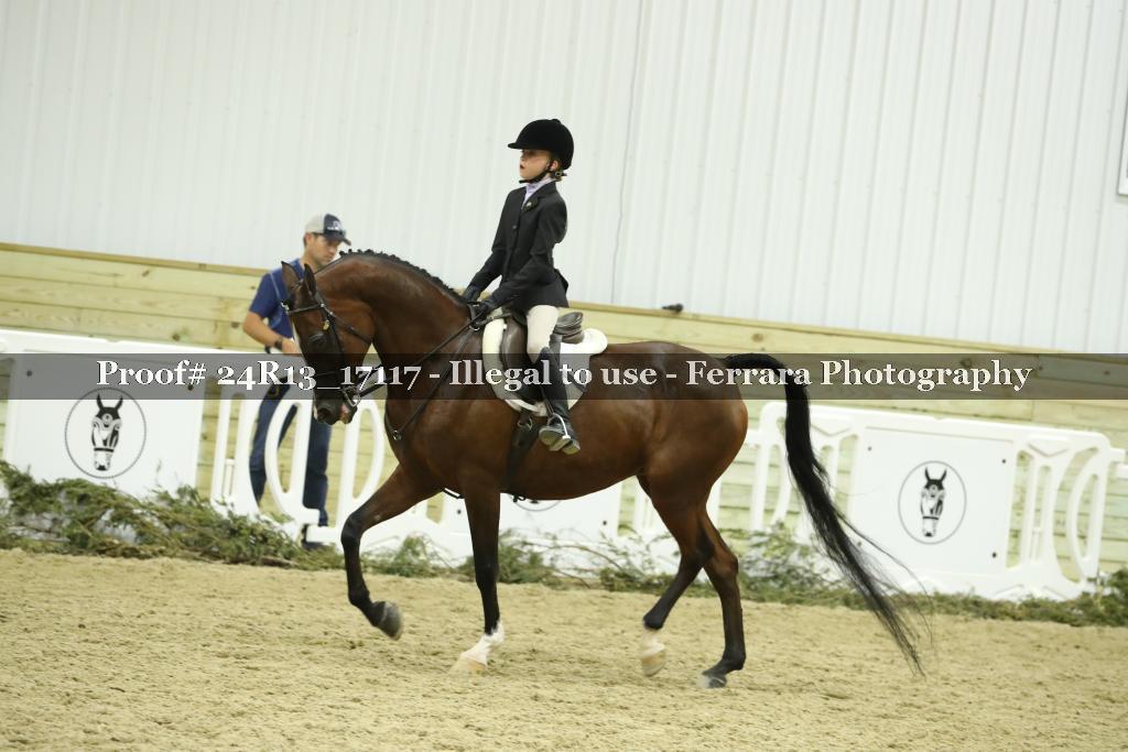 Proof 24R13_17117