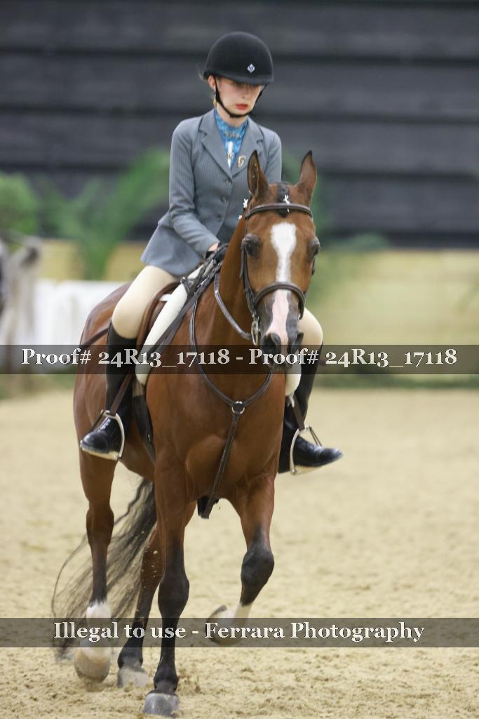 Proof 24R13_17118