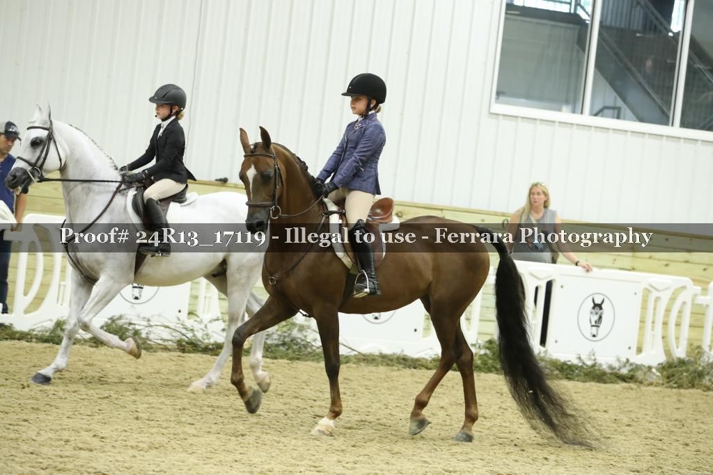 Proof 24R13_17119