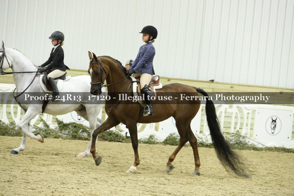 Proof 24R13_17120