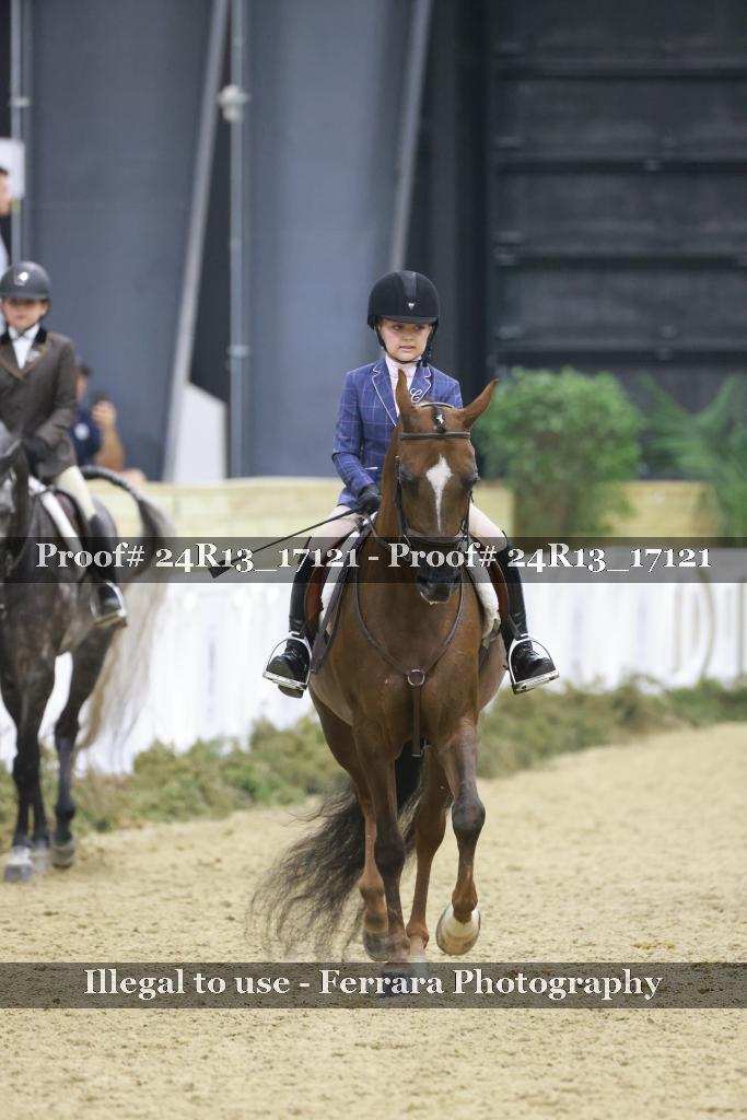Proof 24R13_17121