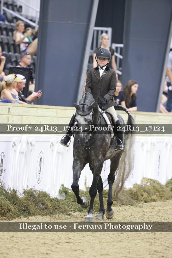 Proof 24R13_17124