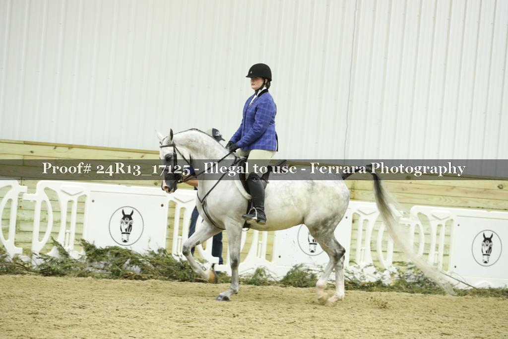 Proof 24R13_17125