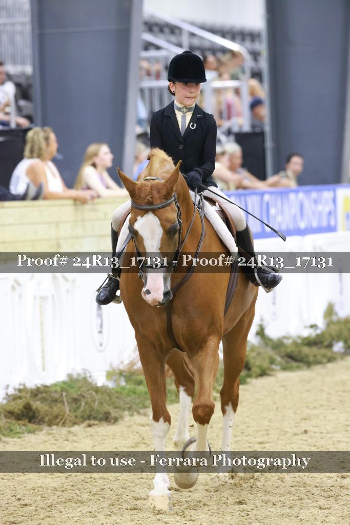 Proof 24R13_17131
