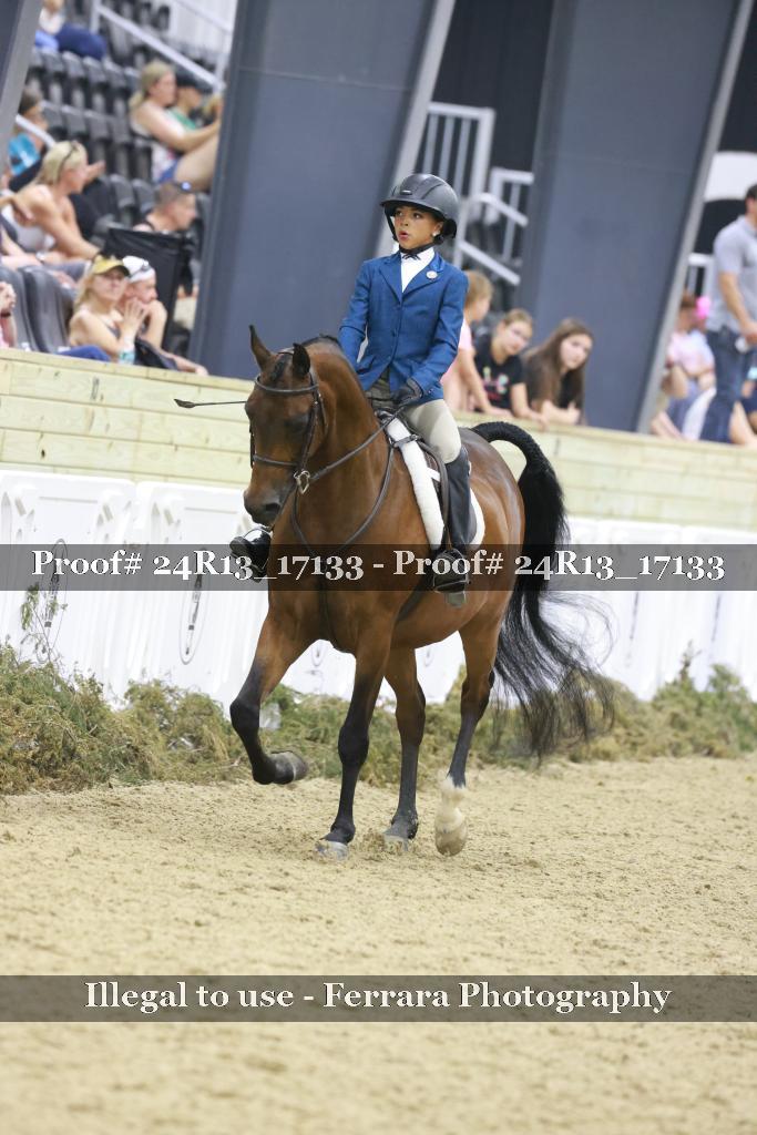 Proof 24R13_17133