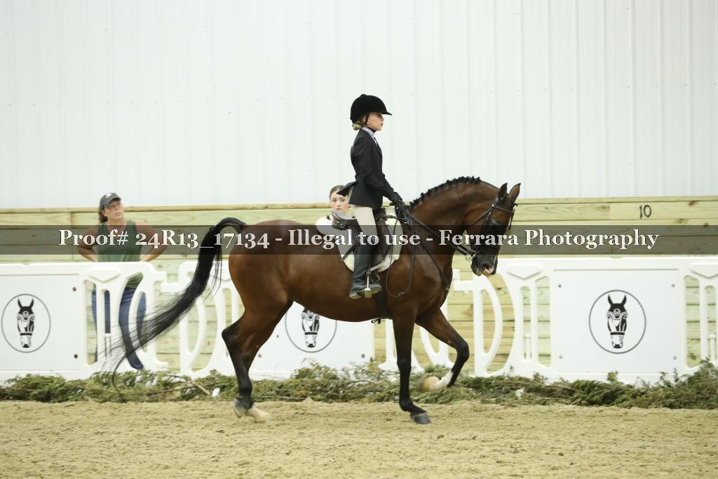 Proof 24R13_17134