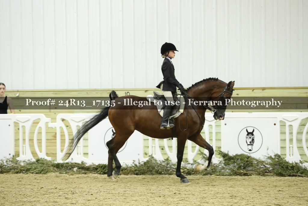 Proof 24R13_17135