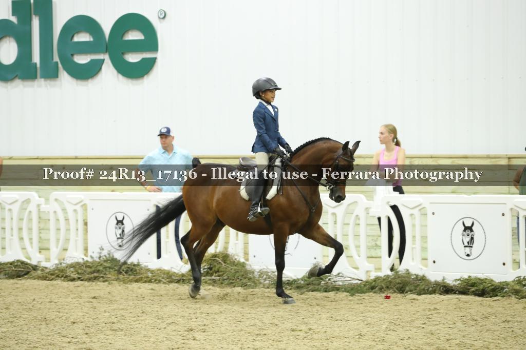 Proof 24R13_17136
