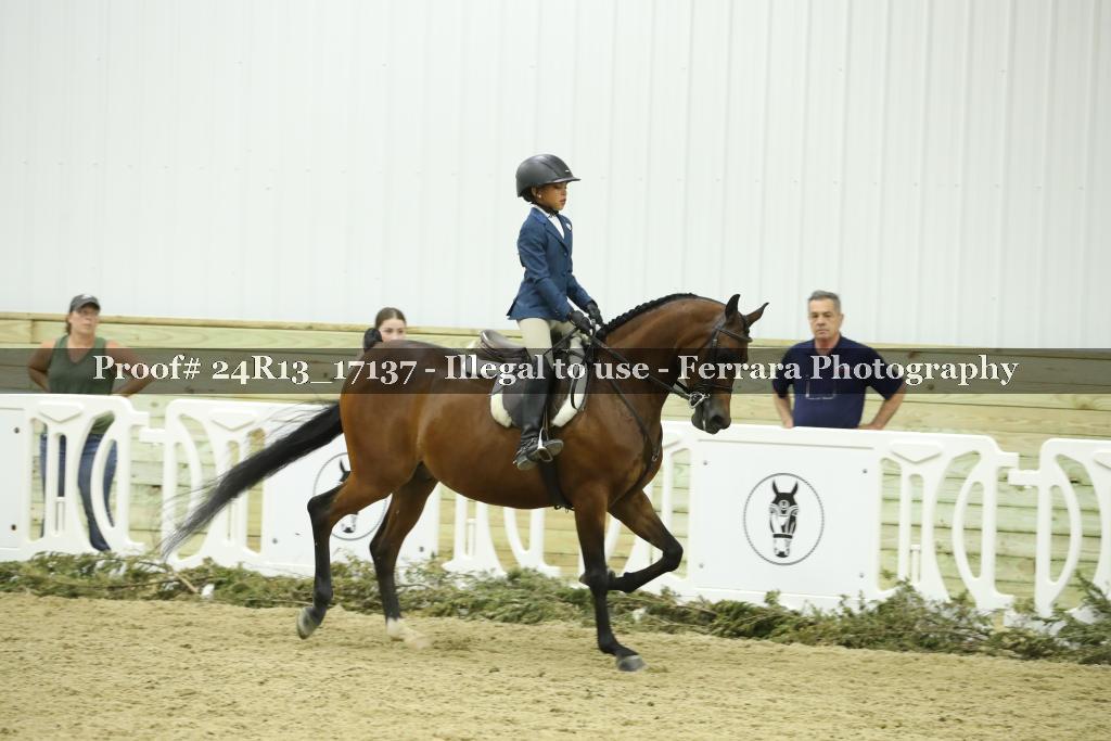 Proof 24R13_17137