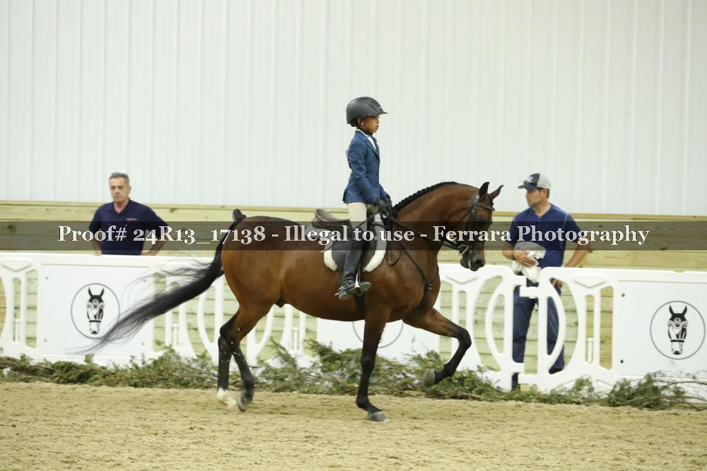 Proof 24R13_17138