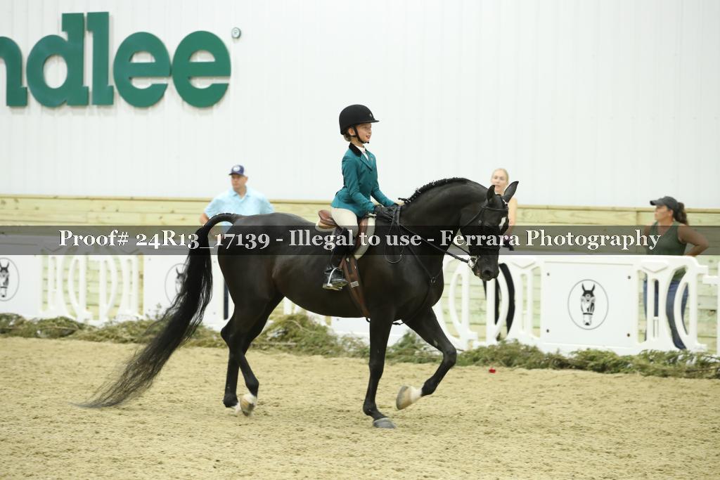 Proof 24R13_17139