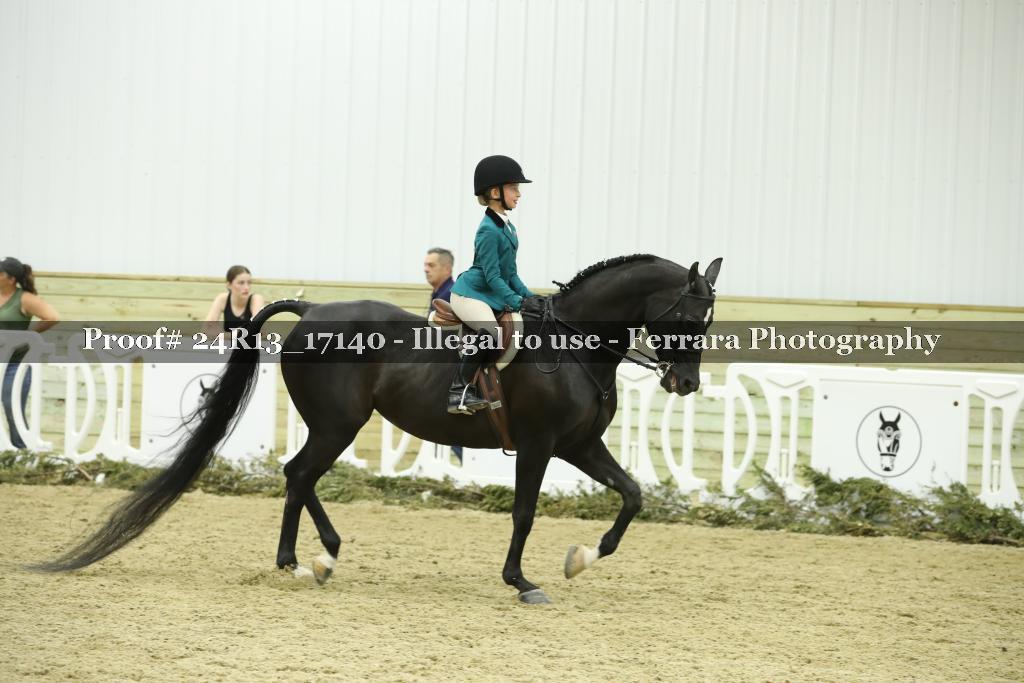 Proof 24R13_17140