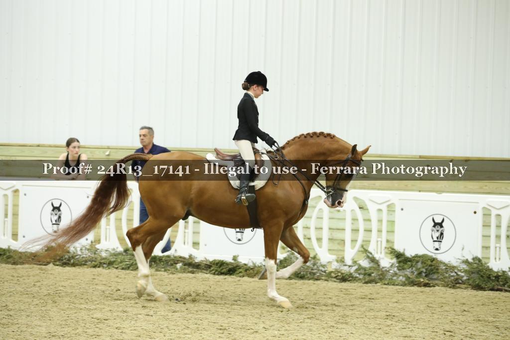 Proof 24R13_17141