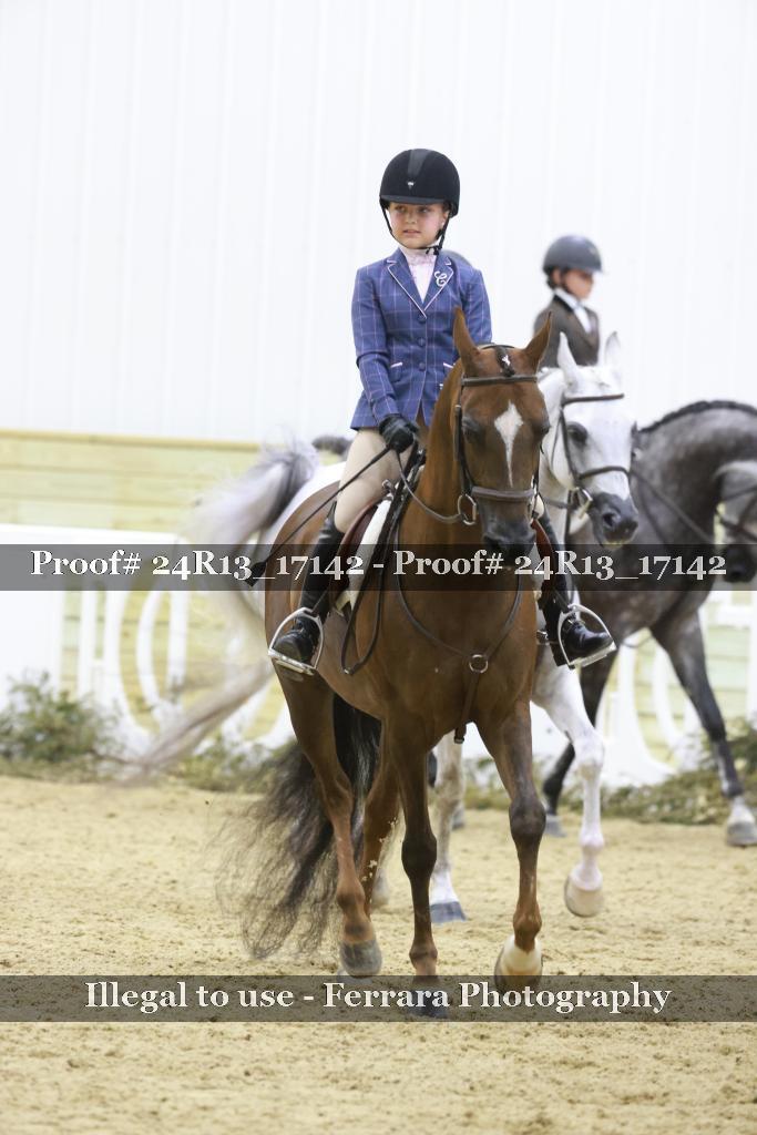 Proof 24R13_17142