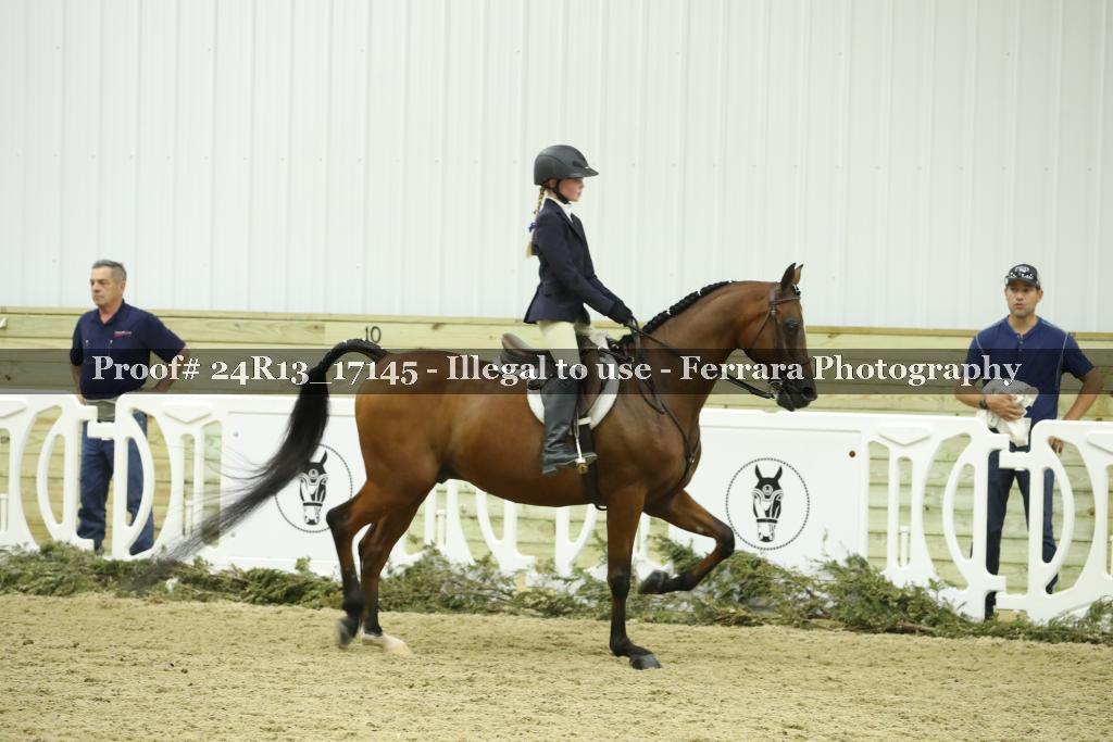 Proof 24R13_17145