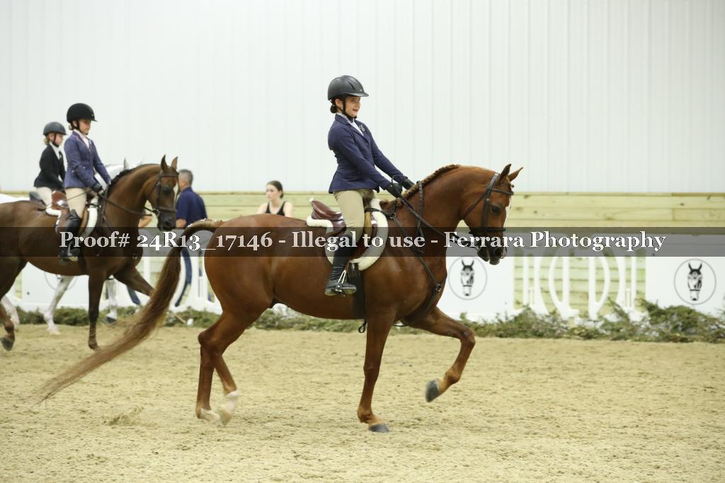 Proof 24R13_17146