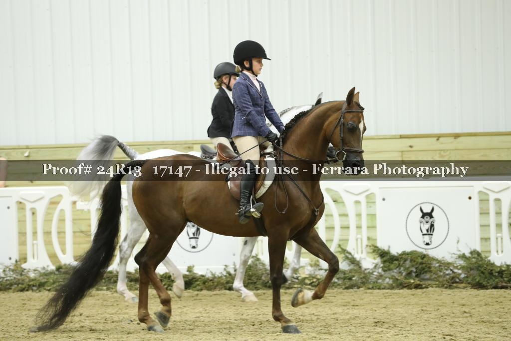 Proof 24R13_17147