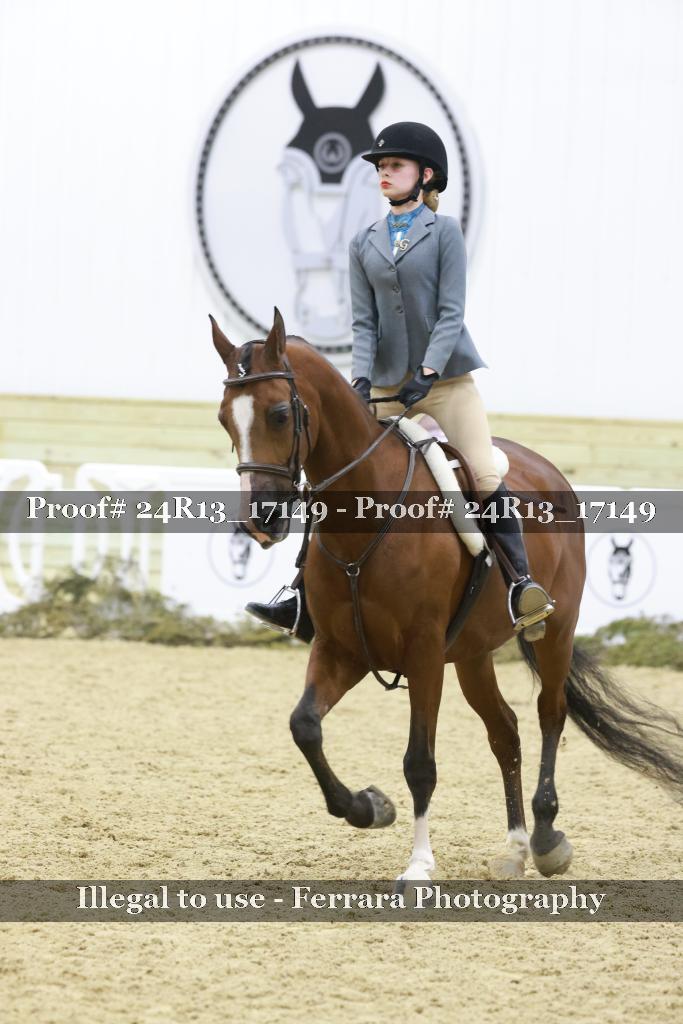 Proof 24R13_17149