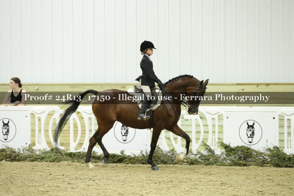 Proof 24R13_17150