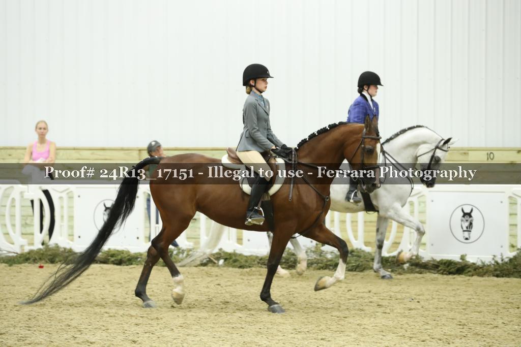 Proof 24R13_17151