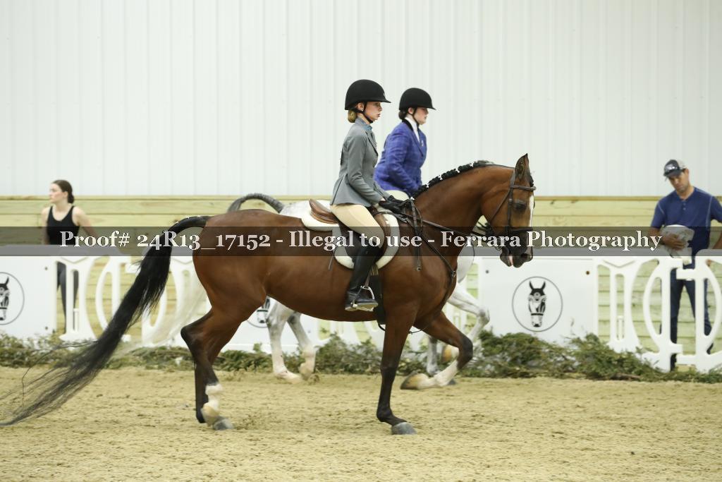Proof 24R13_17152