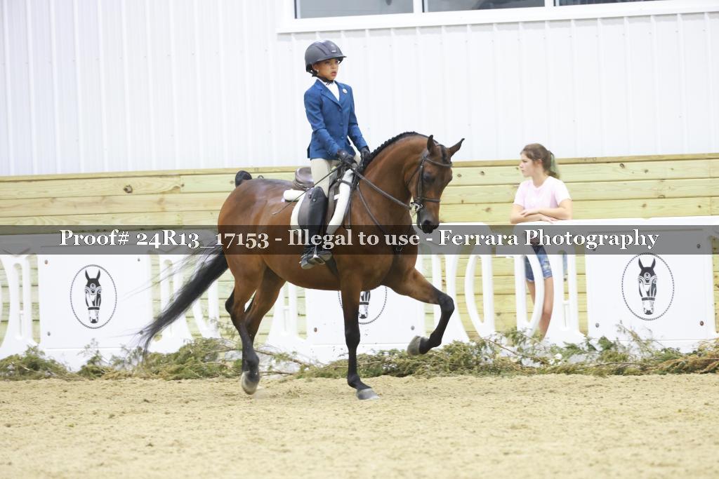 Proof 24R13_17153