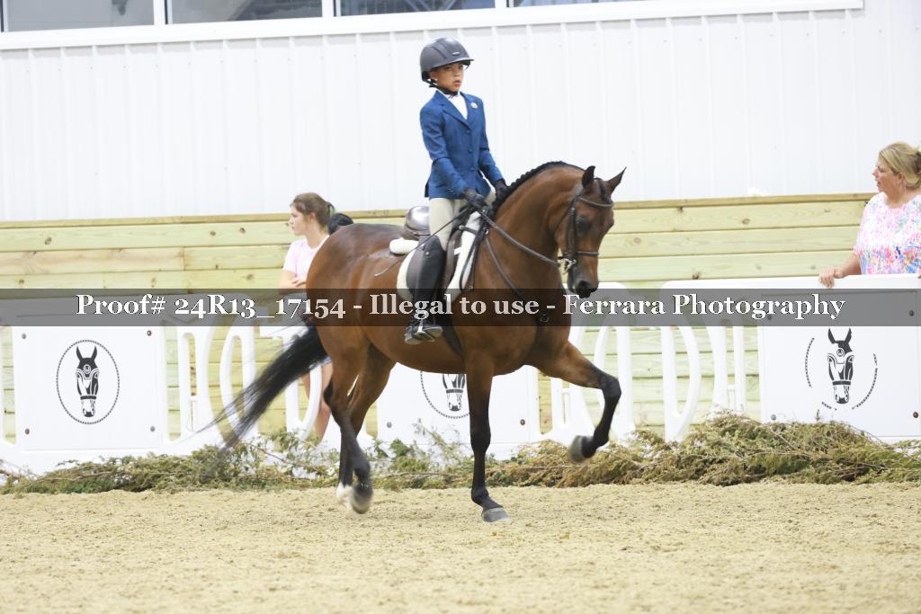 Proof 24R13_17154