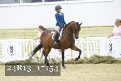 24R13_17154 proof