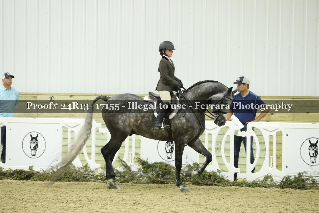 Proof 24R13_17155