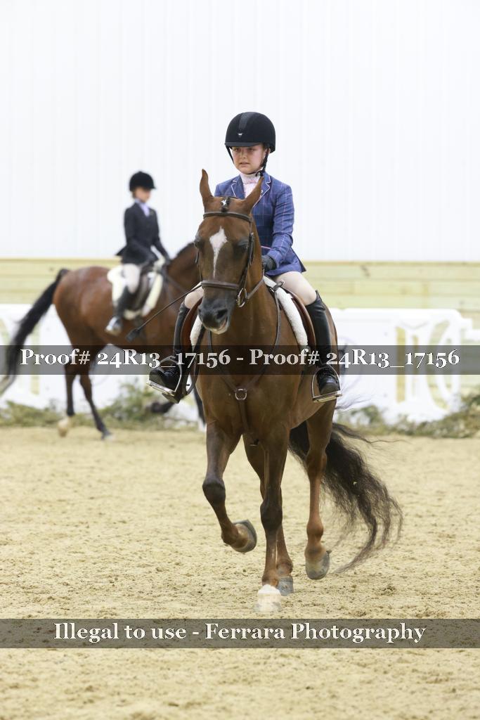 Proof 24R13_17156