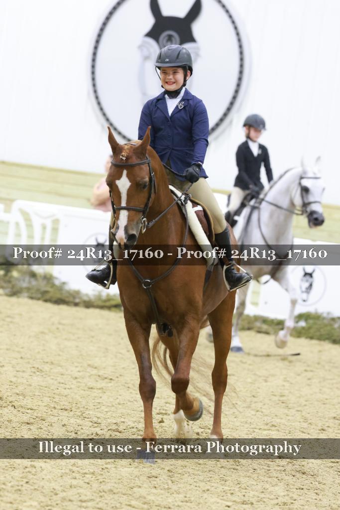 Proof 24R13_17160