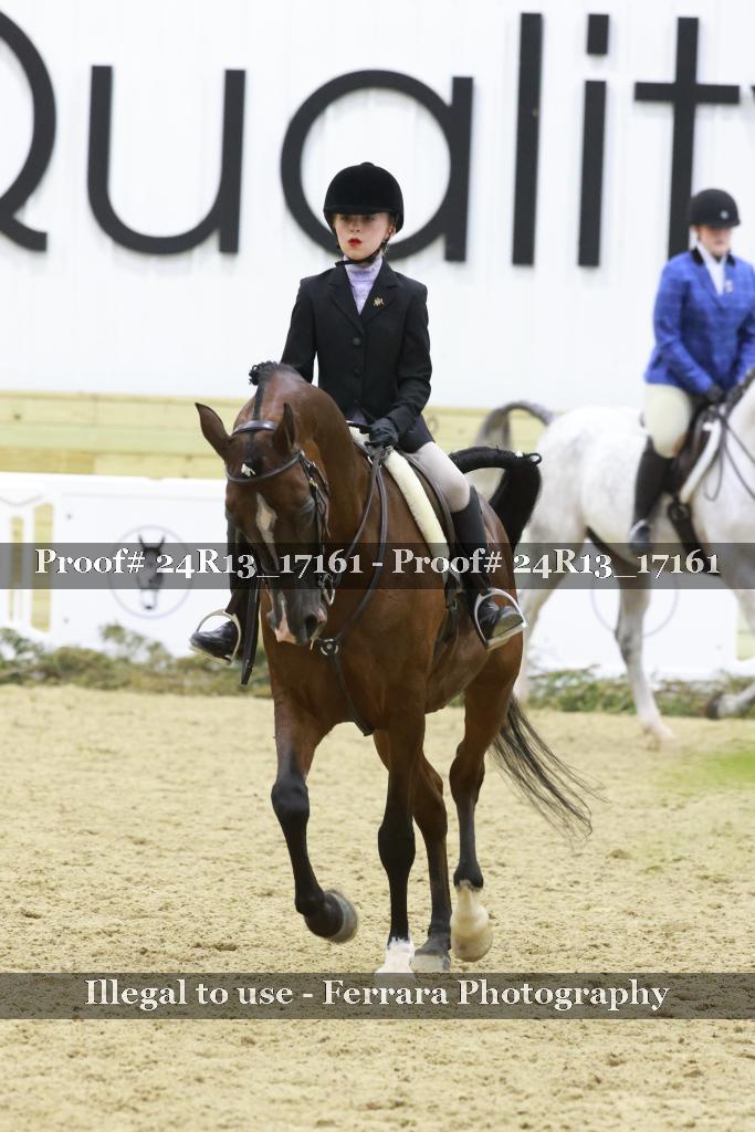Proof 24R13_17161