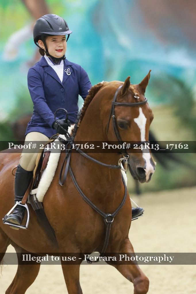Proof 24R13_17162