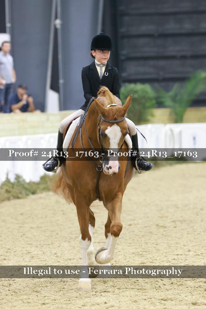 Proof 24R13_17163