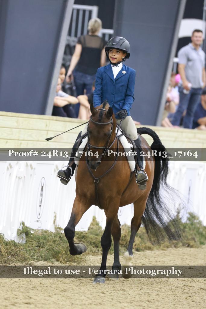 Proof 24R13_17164