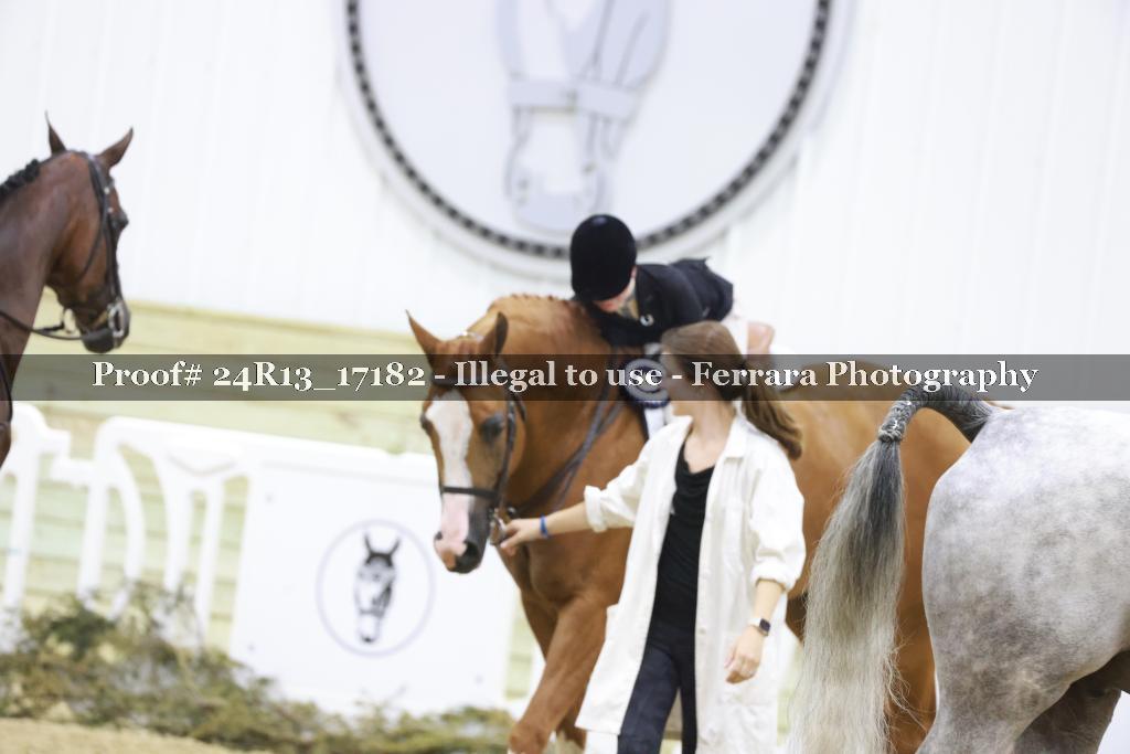 Proof 24R13_17182