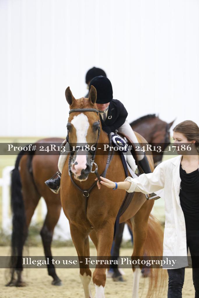 Proof 24R13_17186