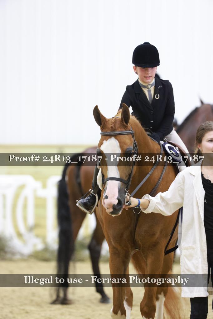 Proof 24R13_17187